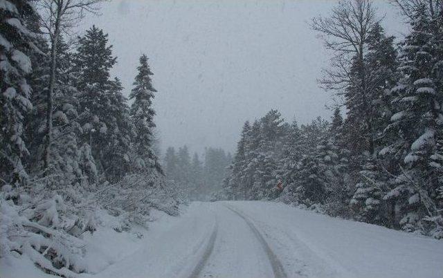 Kastamonu’da Kar Yağışı Etkili Olmaya Devam Ediyor