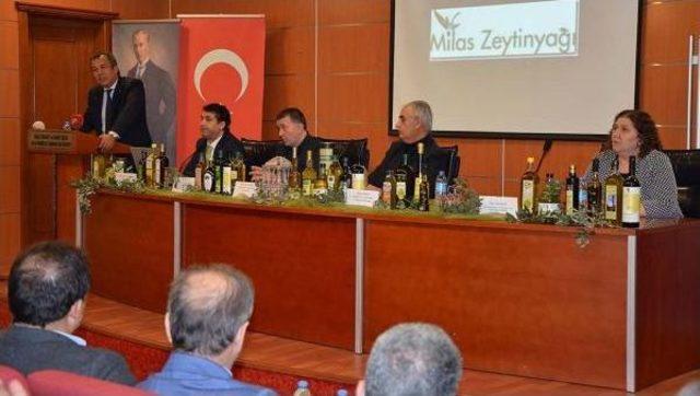 Milas Zeytinyağına Coğrafi Işaret Tescilini Kutladılar