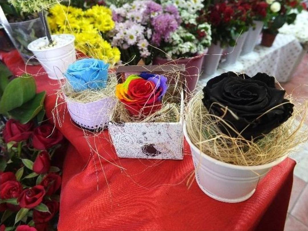 2 Yıl Boyunca Solmayan G&uuml;ller Satışa &Ccedil;ıktı