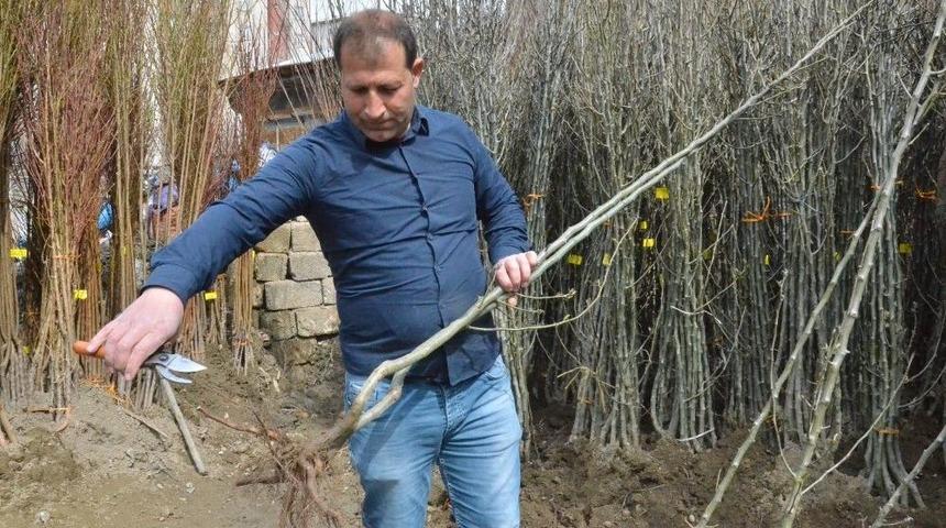 25 Yıllık Baba Mesleğiyle Hem Para Kazanıyor Hem De &Ccedil;evreyi G&uuml;zelleştiriyor