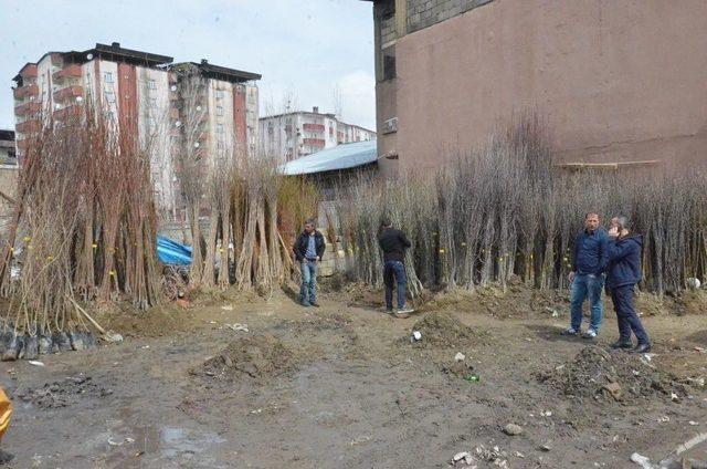 25 Yıllık Baba Mesleğiyle Hem Para Kazanıyor Hem De Çevreyi Güzelleştiriyor