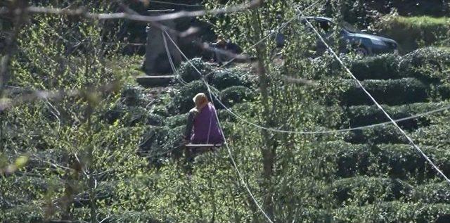 15 Yıldır Kendi Kurdukları Teleferik Sistemi İle Evlerine Gidip Geliyorlar