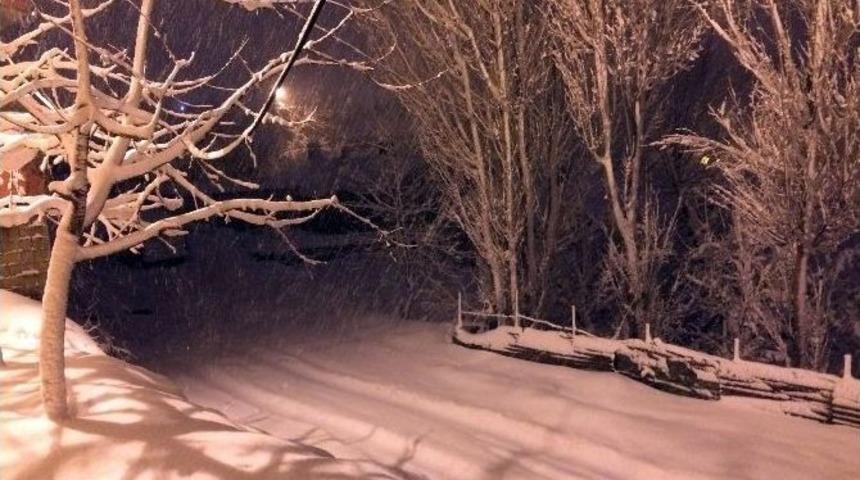 Bitlis&rsquo;te Okullar Kar Yağışı Nedeniyle Bir G&uuml;n S&uuml;reyle Tatil Edildi