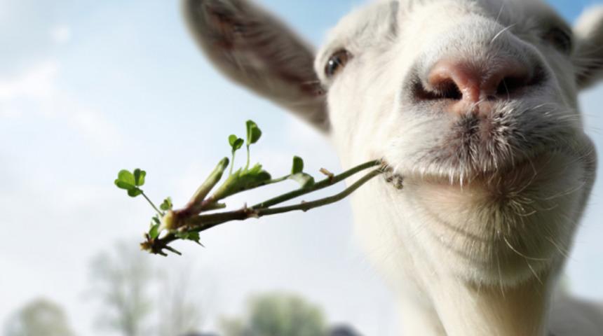 Ke&ccedil;i s&uuml;t&uuml; inek s&uuml;t&uuml;n&uuml;n yerini mi alıyor? İşte ke&ccedil;i s&uuml;t&uuml;n&uuml;n faydaları 