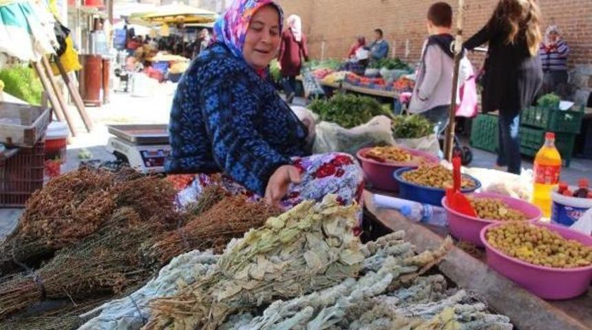 Yanlış Kullanılan Bitkilerde Kanser Riski