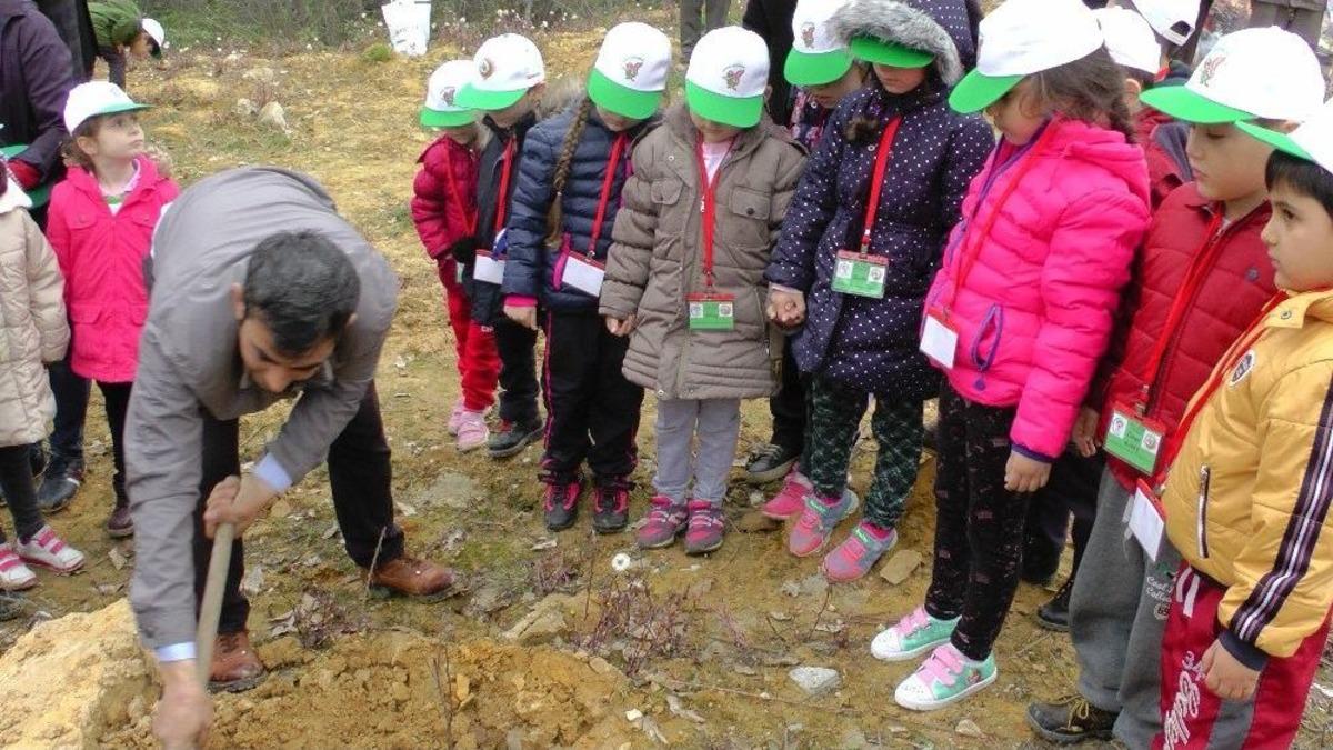 7 Den 70&rsquo;e Fidan Diktiler