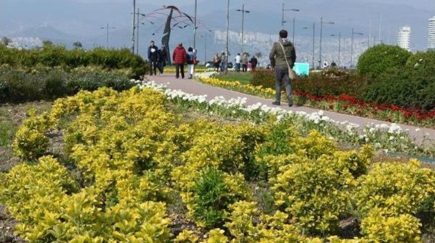 Kordon &Ccedil;i&ccedil;eklerle Renklendi