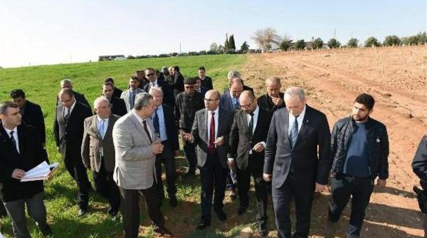 &Ccedil;ukurova'daki Bereketli Topraklarda 'ihtisaslı' D&ouml;nem Başlıyor