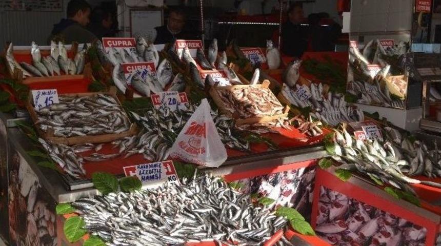 Balık&ccedil;ıların Hamsi Endişesi