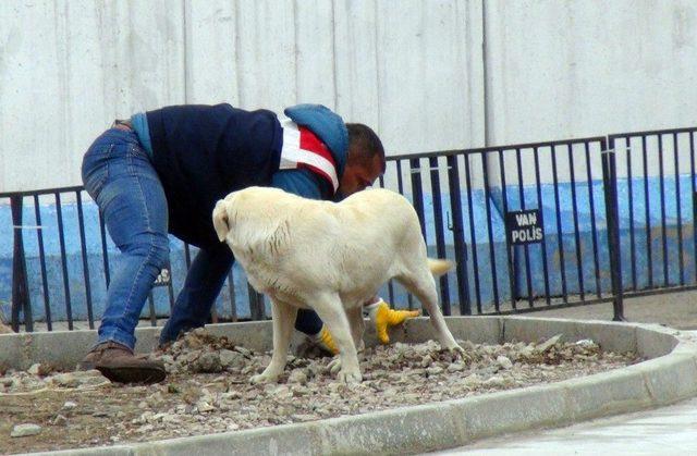 Van, Başbakan Yıldırım’ı Bekliyor