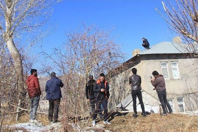 Hakkari’de Maymun Kurtarma Operasyonu