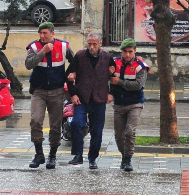 Taburcu Oldu, Tutuklandı