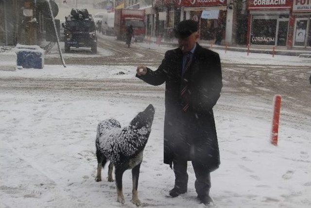 Hakkari’de 14 Köy Ve 29 Mezra Yolu Ulaşıma Kapandı