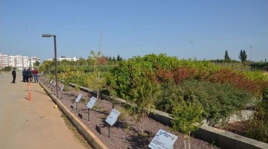 Antalya Orman Fidanlığında Satış Ofisi A&ccedil;ıldı