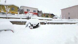 Bingöl’de Hayat Durdu