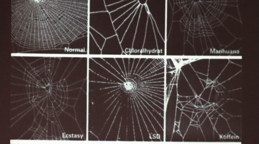 T&uuml;rkiye&rsquo;de T&uuml;t&uuml;n Ve T&uuml;t&uuml;n &Uuml;r&uuml;nlerinin &Uuml;lkeye Maliyeti 50 Milyar Dolar