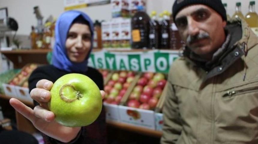 Ay-yıldızlı Elma Görenleri Şaşırttı