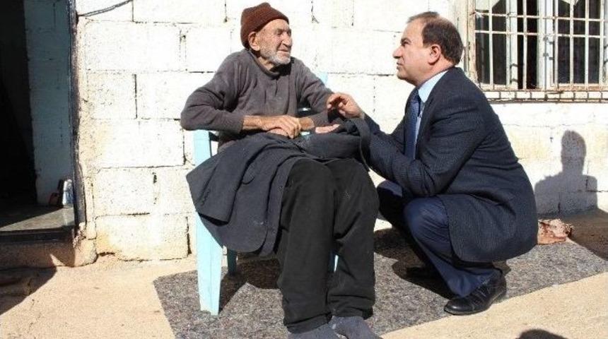 B&uuml;y&uuml;kşehir Asırlık &Ccedil;ınarlara Sahip &Ccedil;ıkıyor