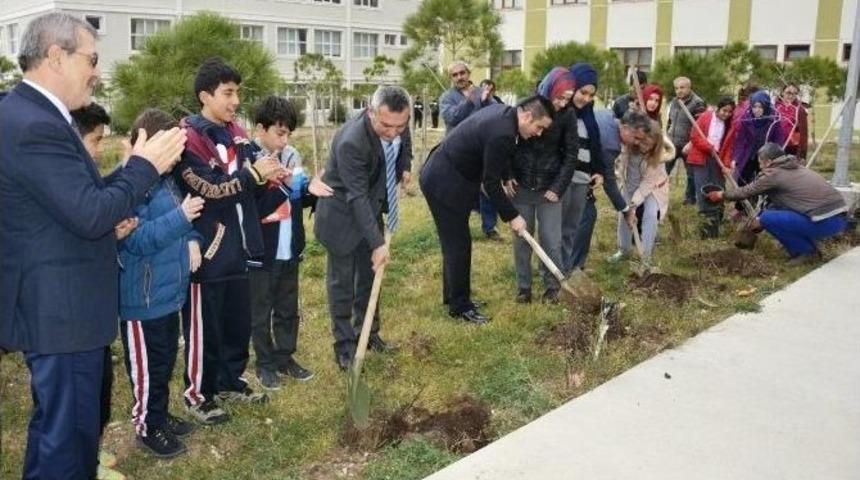 &Ccedil;om&uuml;&rsquo;de 44 Şehit İ&ccedil;in 44 G&uuml;l Dikildi