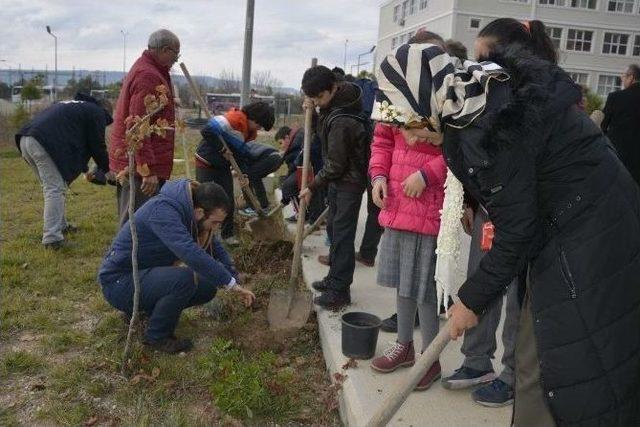 Çomü’de 44 Şehit İçin 44 Gül Dikildi