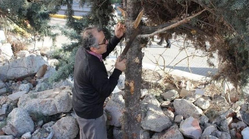 G&uuml;rleyik Derneği Başkanı G&uuml;rsoy&rsquo;dan &Ouml;rnek Davranış