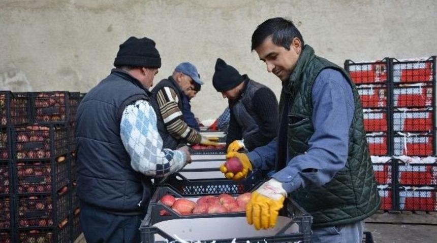 Elma&rsquo;da Hareket Başladı