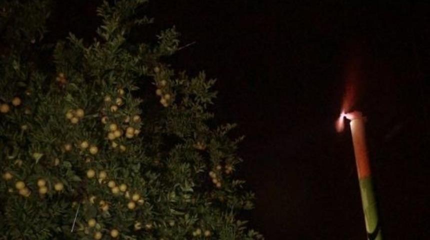 &Ccedil;ukurova'da &Ccedil;ift&ccedil;iler Dona Karşı &Ouml;nlem Alıyor