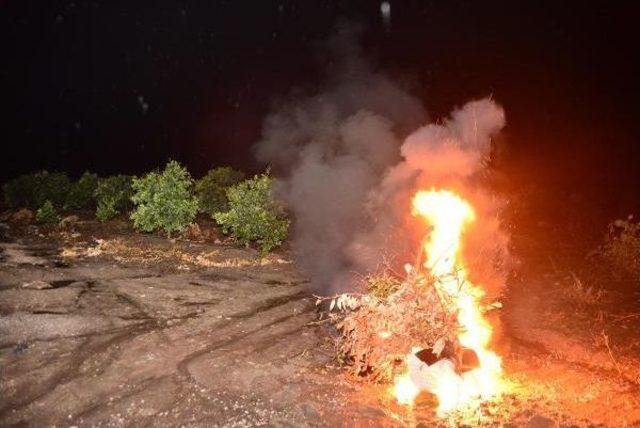 &Ccedil;ukurova da &Ccedil;ift&ccedil;iler Dona Karşı &Ouml;nlem Alıyor 1