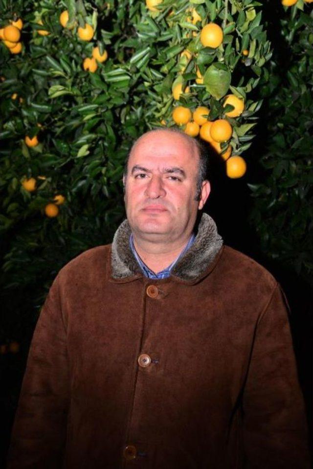 &Ccedil;ukurova da &Ccedil;ift&ccedil;iler Dona Karşı &Ouml;nlem Alıyor 2