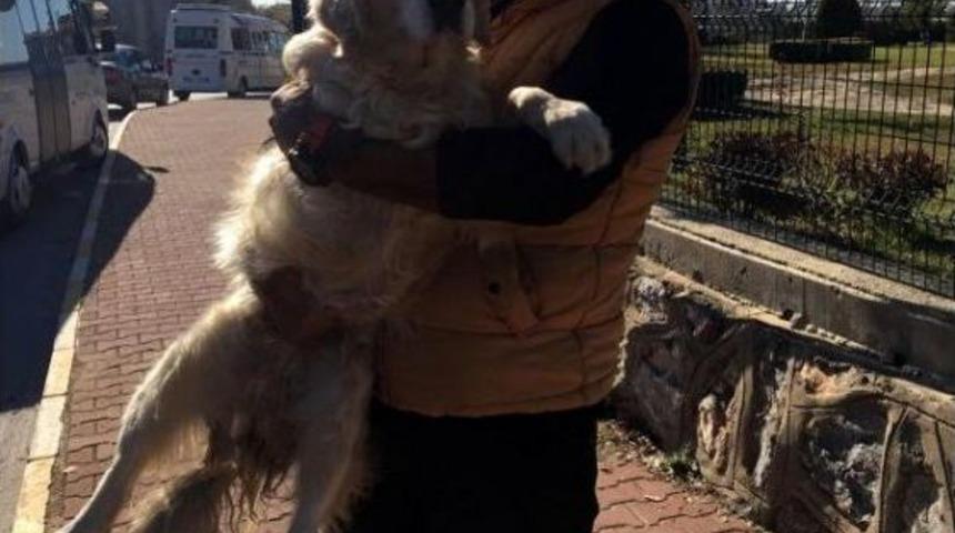 Engelli K&ouml;peği Sahiplendi