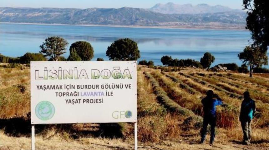 Lavanta Deresi Projesi, T&uuml;rkiye Ve D&uuml;nyaya &Ouml;rnek Oldu