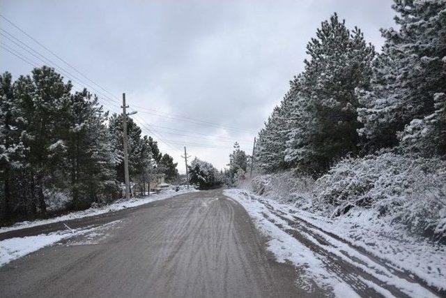 Altınova’da Kar Teyakkuzu