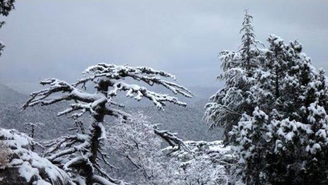 Kar, Akseki- Seydişehir Yolunda Ulaşımı Engelliyor (2)