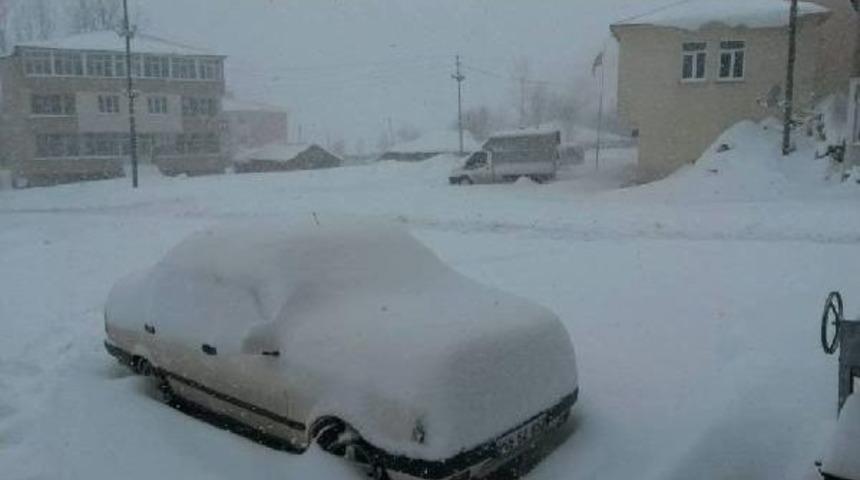 Ordu&rsquo;Da Tipide Mahsur Kalan 30 Ara&ccedil; Kurtarıldı