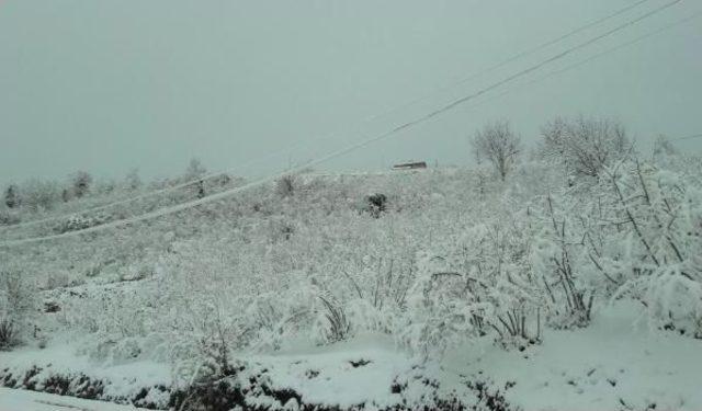 Ordu’Da Tipide Mahsur Kalan 30 Araç Kurtarıldı