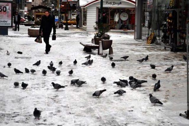 Kayseri'de Soğuk Ve Kar Yaşamı Olumsuz Etkiledi