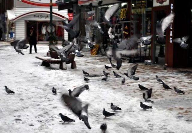 Kayseri'de Soğuk Ve Kar Yaşamı Olumsuz Etkiledi