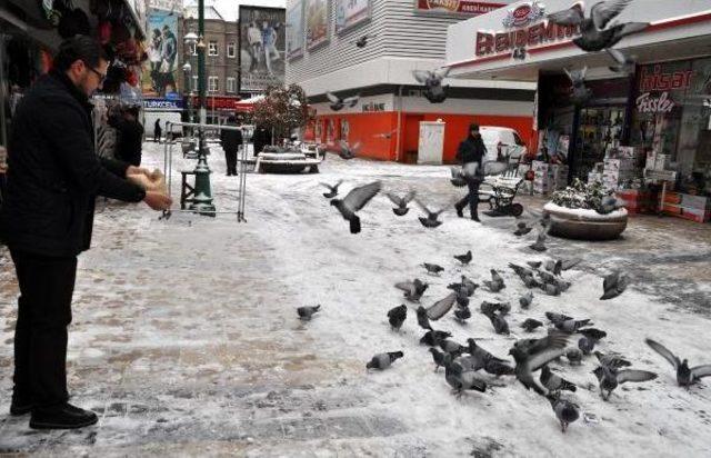 Kayseri'de Soğuk Ve Kar Yaşamı Olumsuz Etkiledi