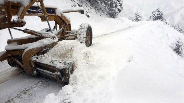 Kar Yağışı Kahramanmaraş’ta Hayatı Olumsuz Etkiledi