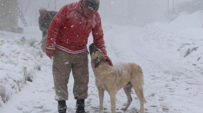 Samsun'da Etkili Kar Yağışı