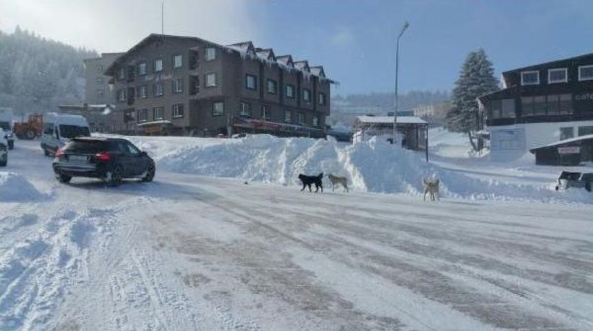 Uludağ&rsquo;Da Kar Kalınlığı Bir Metreye Ulaştı
