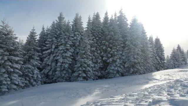 Uludağ’Da Kar Kalınlığı Bir Metreye Ulaştı