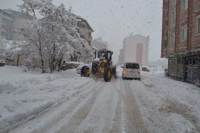 Belediye Ekiplerinden Kar Seferberliği