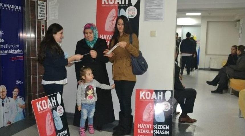 D&uuml;nya Koah G&uuml;n&uuml;