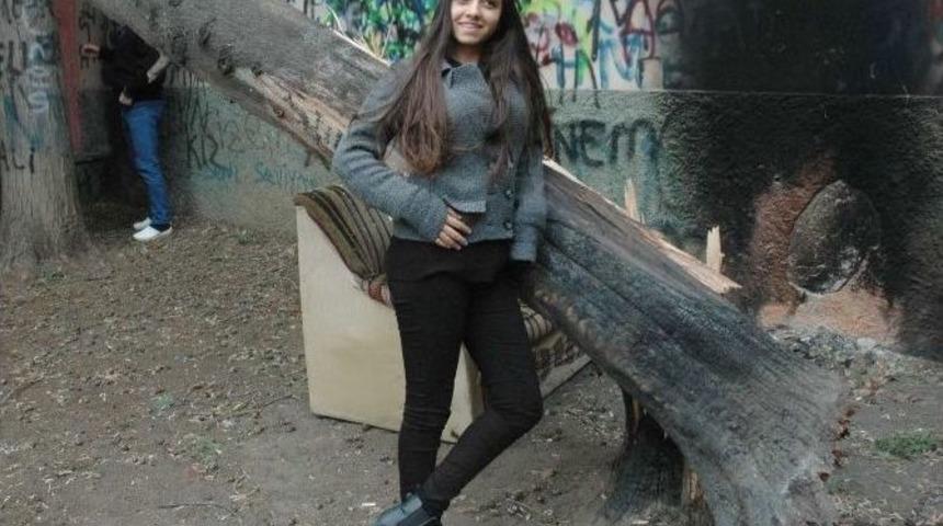 Evin &Uuml;zerine Ağa&ccedil; Devrildi