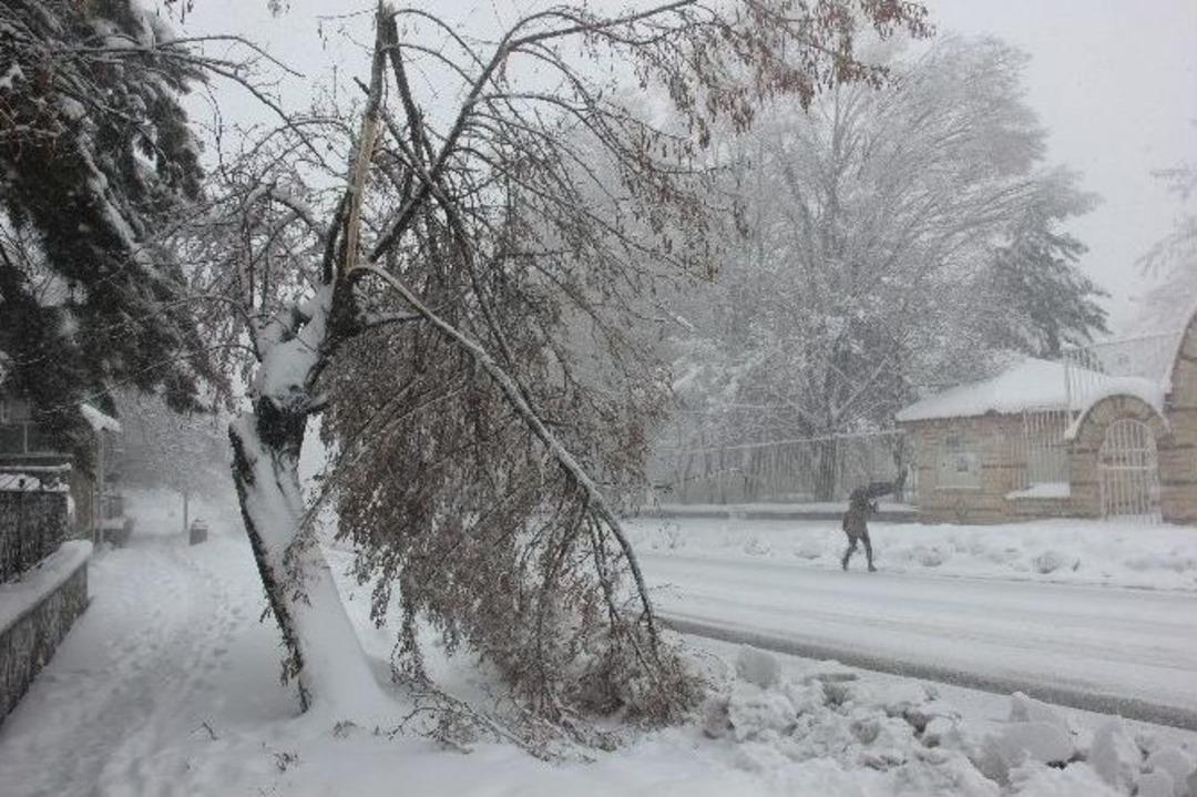 Bing&ouml;l&rsquo;de Hayat Fel&ccedil; Oldu