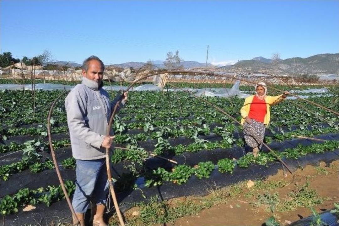 Antalya&rsquo;da Fırtına Seraları U&ccedil;urdu