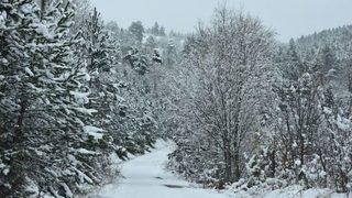 Sinop’ta 181 Köy Yolu Kapandı