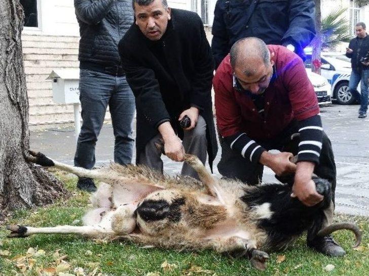 Kahramanmaraş Emniyet Müdürlüğü Araç Parkını Genişletti G2