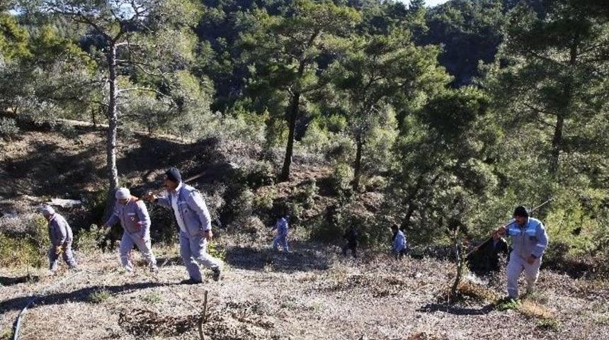 Ormanlık Alandaki Yangına Belediye Personeli M&uuml;dahale Etti